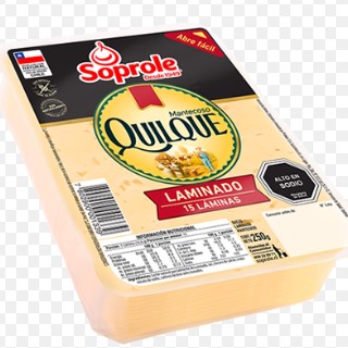 queso mantecoso soprole 250g